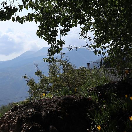 Μικρή Ζήρεια Ενοικιαζόμενη Κατοικία Synikia Mesi Trikalon Екстер'єр фото