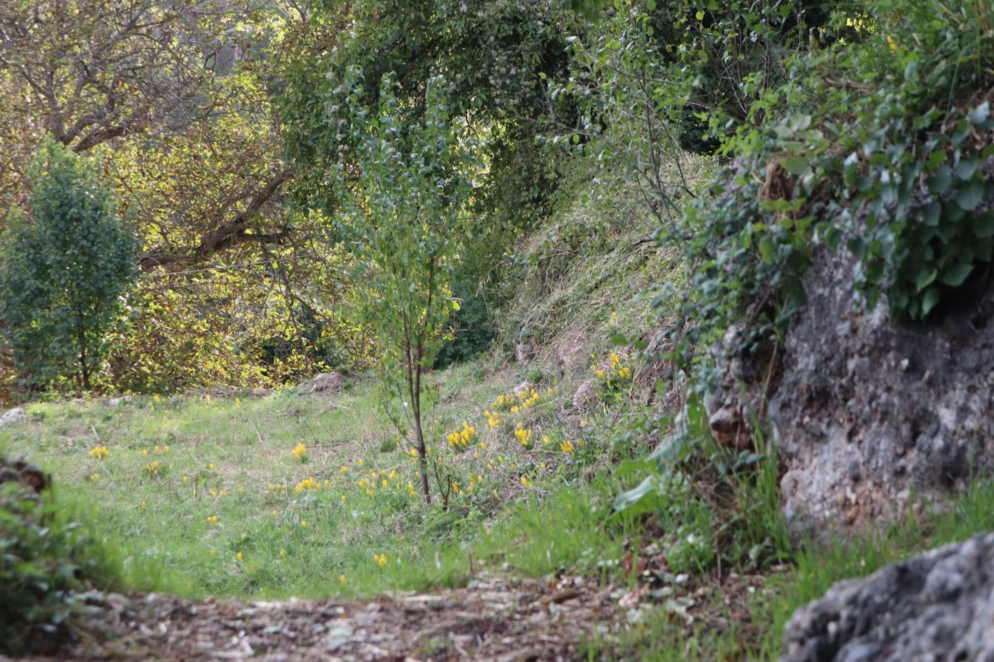 Μικρή Ζήρεια Ενοικιαζόμενη Κατοικία Synikia Mesi Trikalon Екстер'єр фото